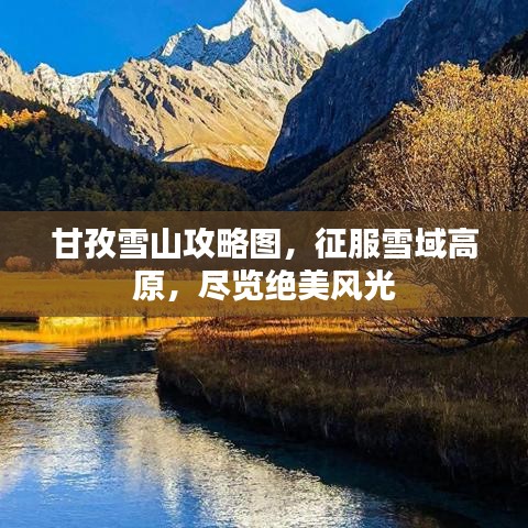 2025年5月29日 第7页