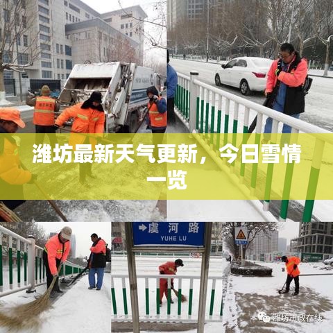 潍坊最新天气更新，今日雪情一览