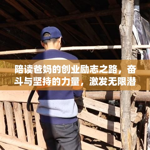 陪读爸妈的创业励志之路，奋斗与坚持的力量，激发无限潜能！