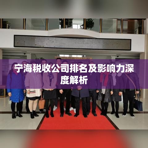 宁海税收公司排名及影响力深度解析