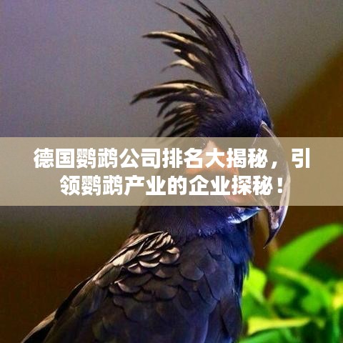 2025年5月30日 第20页