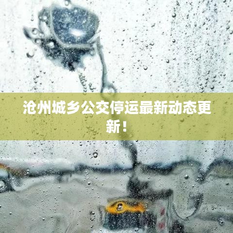 沧州城乡公交停运最新动态更新！