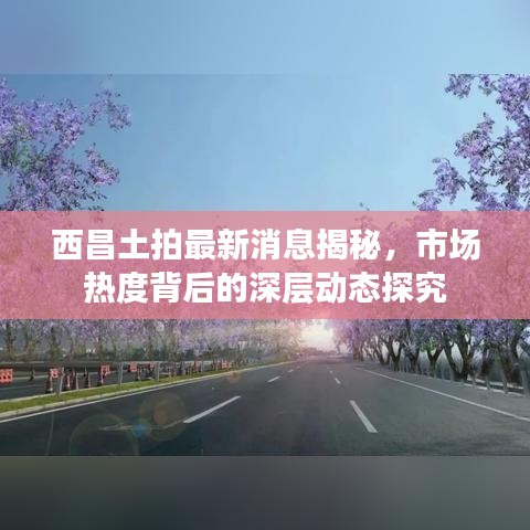 西昌土拍最新消息揭秘，市场热度背后的深层动态探究