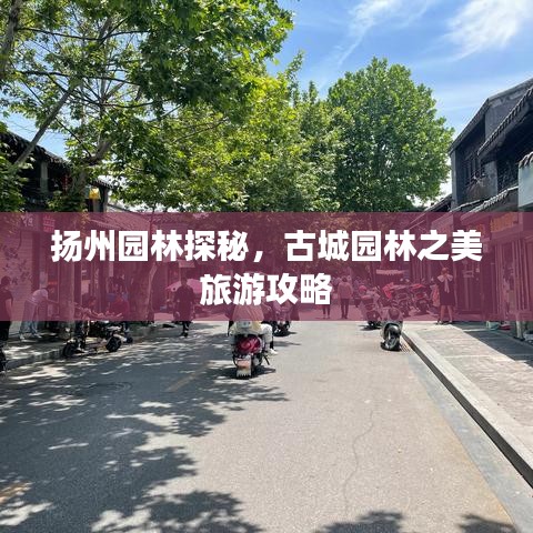 扬州园林探秘，古城园林之美旅游攻略