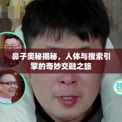 鼻子奥秘揭秘，人体与搜索引擎的奇妙交融之旅