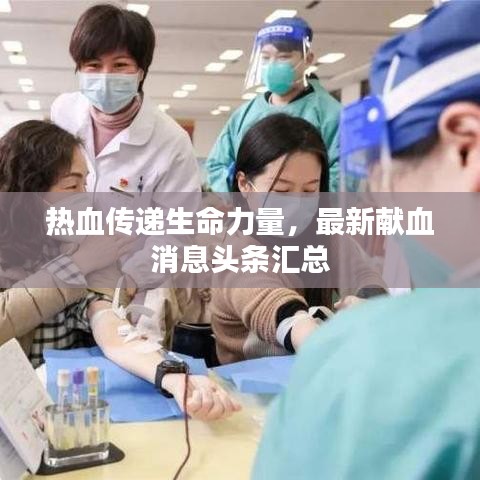 热血传递生命力量，最新献血消息头条汇总