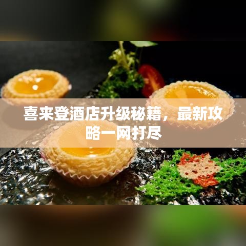 喜来登酒店升级秘籍，最新攻略一网打尽