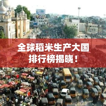 全球稻米生产大国排行榜揭晓！