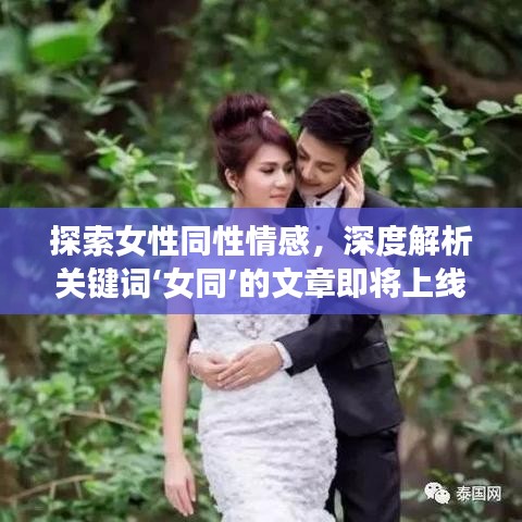 探索女性同性情感，深度解析关键词‘女同’的文章即将上线！