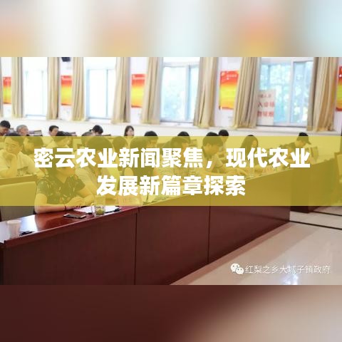 密云农业新闻聚焦，现代农业发展新篇章探索