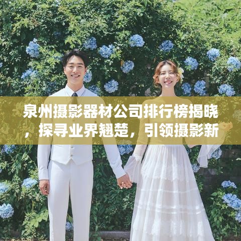 泉州摄影器材公司排行榜揭晓，探寻业界翘楚，引领摄影新风尚