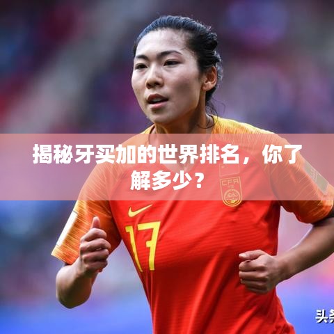 揭秘牙买加的世界排名，你了解多少？