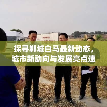 探寻郸城白马最新动态，城市新动向与发展亮点速递