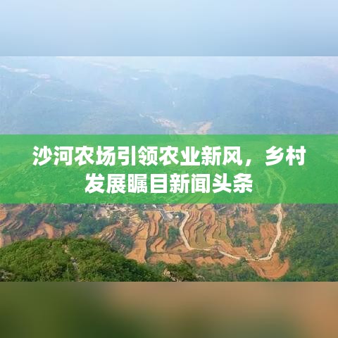 沙河农场引领农业新风，乡村发展瞩目新闻头条