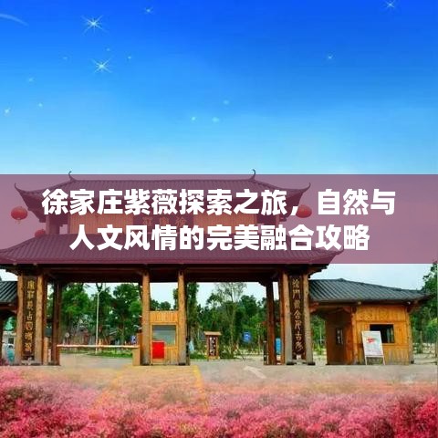 徐家庄紫薇探索之旅，自然与人文风情的完美融合攻略