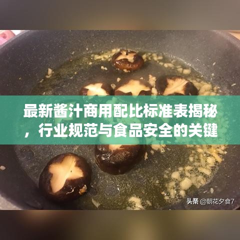 最新酱汁商用配比标准表揭秘，行业规范与食品安全的关键所在