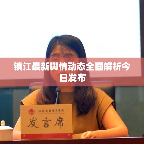 镇江最新舆情动态全面解析今日发布