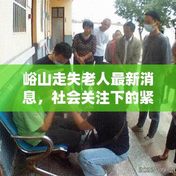 峪山走失老人最新消息，社会关注下的紧急寻找行动