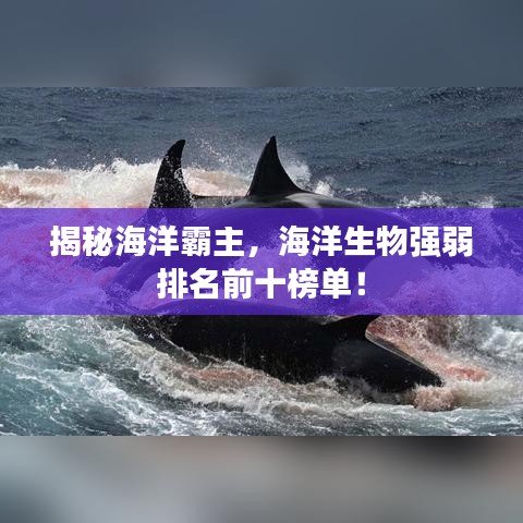 揭秘海洋霸主，海洋生物强弱排名前十榜单！