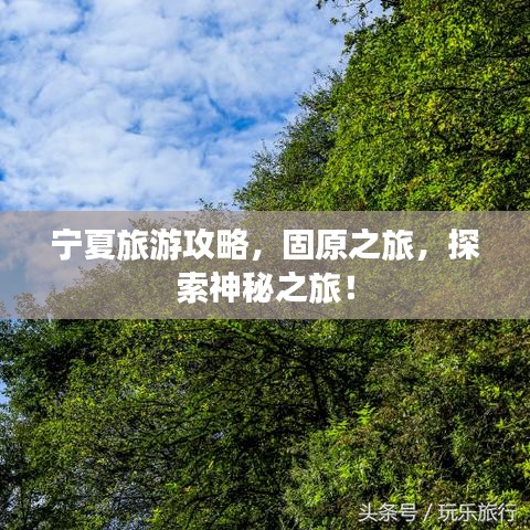 宁夏旅游攻略，固原之旅，探索神秘之旅！