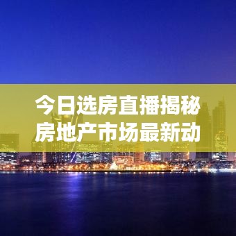 今日选房直播揭秘房地产市场最新动态，洞悉趋势，不容错过！