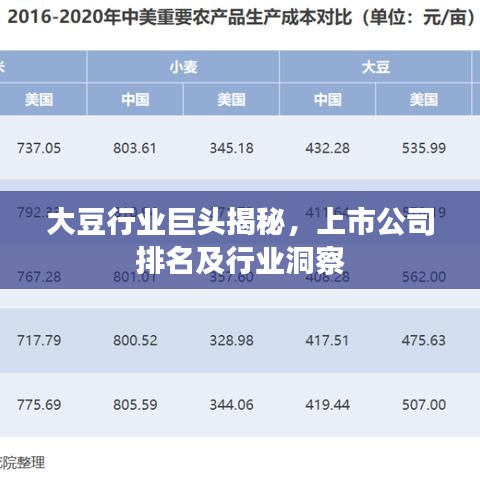 大豆行业巨头揭秘，上市公司排名及行业洞察
