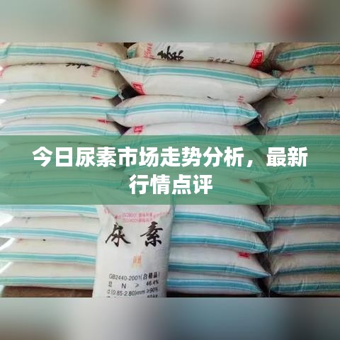 今日尿素市场走势分析，最新行情点评