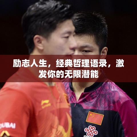 励志人生，经典哲理语录，激发你的无限潜能
