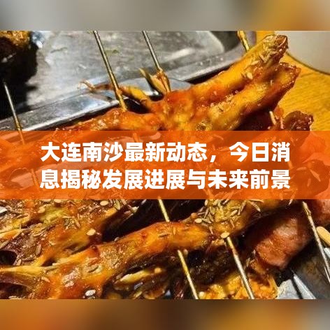 大连南沙最新动态，今日消息揭秘发展进展与未来前景展望