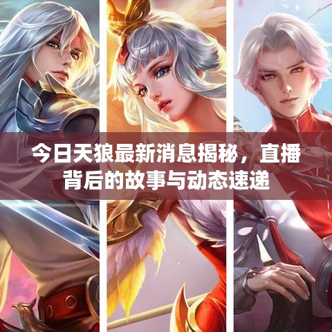 今日天狼最新消息揭秘，直播背后的故事与动态速递