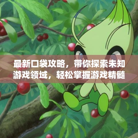 最新口袋攻略，带你探索未知游戏领域，轻松掌握游戏精髓