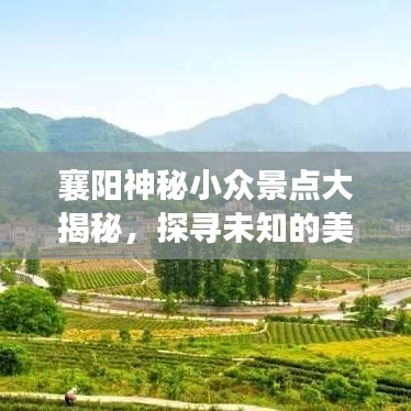 襄阳神秘小众景点大揭秘，探寻未知的美好之旅