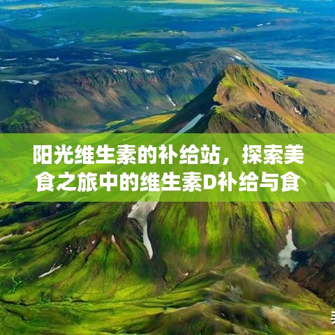 寥若晨星