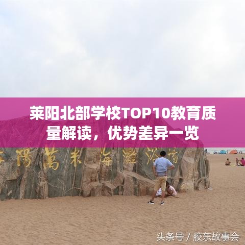 莱阳北部学校TOP10教育质量解读，优势差异一览