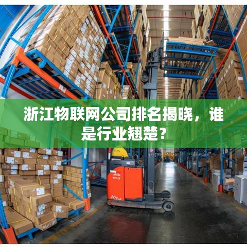 浙江物联网公司排名揭晓，谁是行业翘楚？