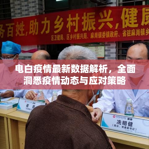 电白疫情最新数据解析，全面洞悉疫情动态与应对策略