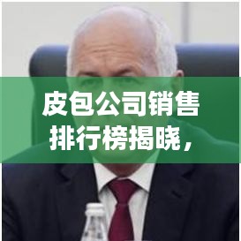 皮包公司销售排行榜揭晓，行业巨头与竞争态势深度剖析