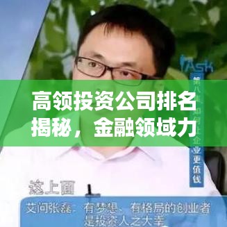 高领投资公司排名揭秘，金融领域力量分布一览无余