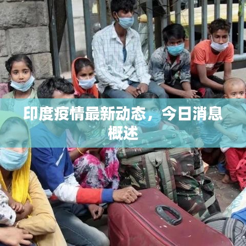 印度疫情最新动态，今日消息概述