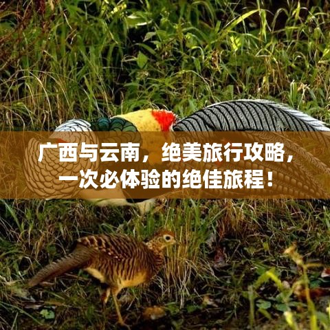 广西与云南，绝美旅行攻略，一次必体验的绝佳旅程！