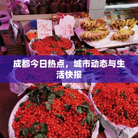 成都今日热点，城市动态与生活快报