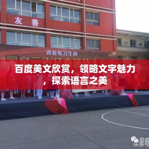 百度美文欣赏，领略文字魅力，探索语言之美