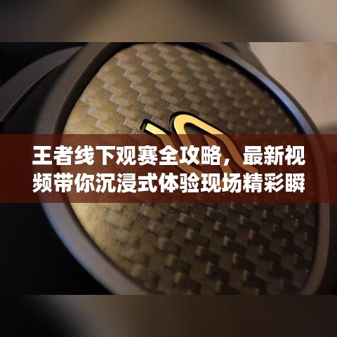 王者线下观赛全攻略，最新视频带你沉浸式体验现场精彩瞬间