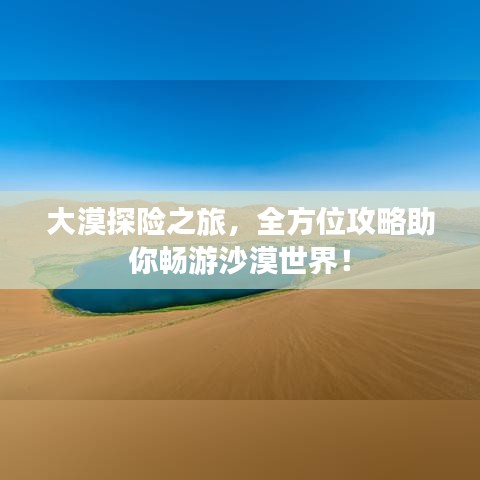 大漠探险之旅，全方位攻略助你畅游沙漠世界！