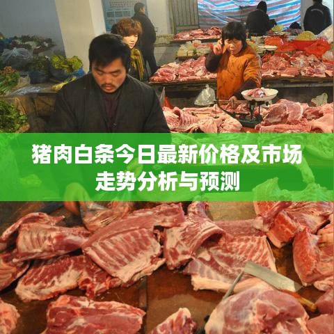 猪肉白条今日最新价格及市场走势分析与预测