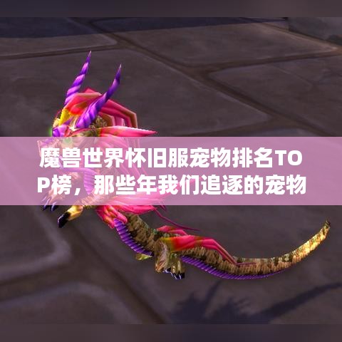 魔兽世界怀旧服宠物排名TOP榜，那些年我们追逐的宠物经典回顾
