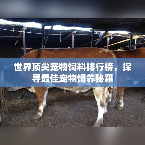 世界顶尖宠物饲料排行榜，探寻最佳宠物饲养秘籍