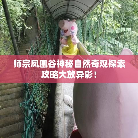 明夷于飞