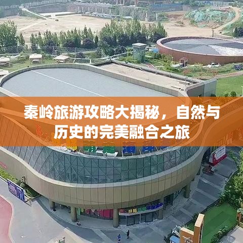 秦岭旅游攻略大揭秘，自然与历史的完美融合之旅