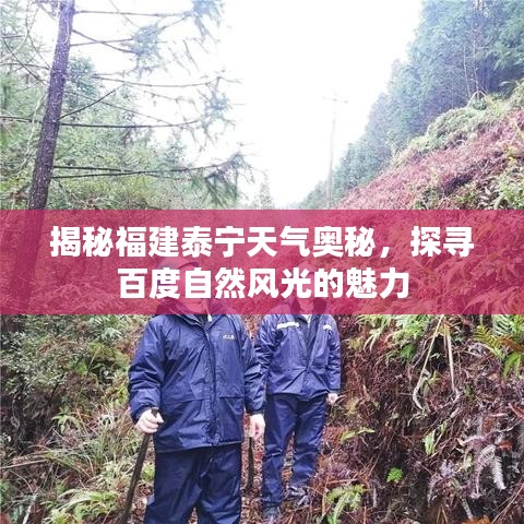 目不转睛